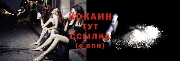 гашик Заводоуковск