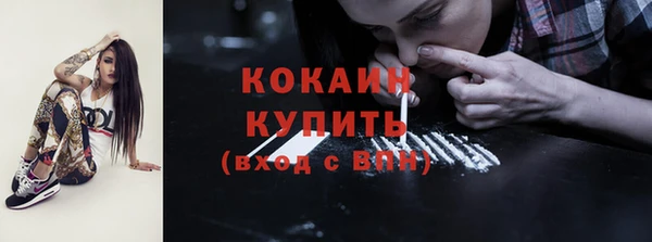 метадон Ельня