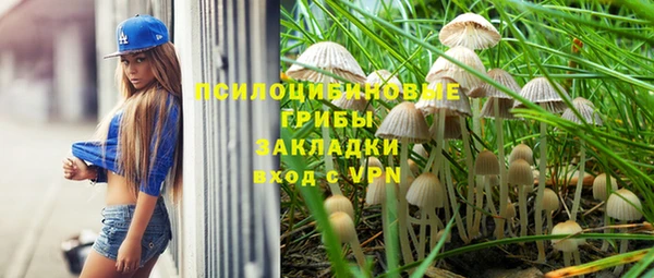 spice Елизово
