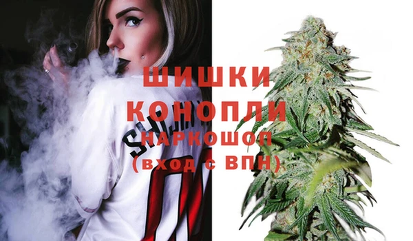 метадон Ельня