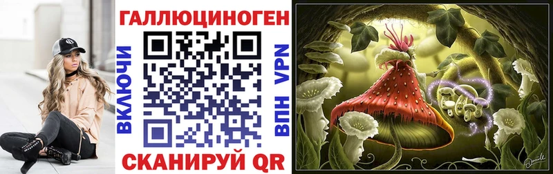 где можно купить   Верещагино  Псилоцибиновые грибы ЛСД 